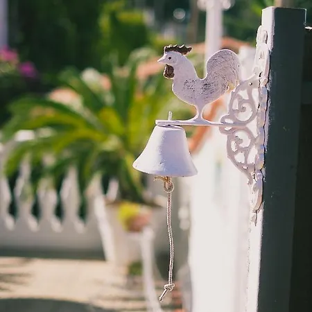 The Garden On Capri * ماسّا لوبْرينسِ
