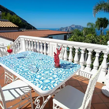 The Garden On Capri