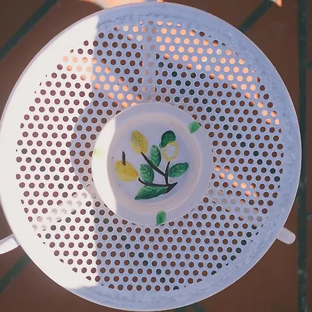 The Garden On Capri Villa Massa Lubrense